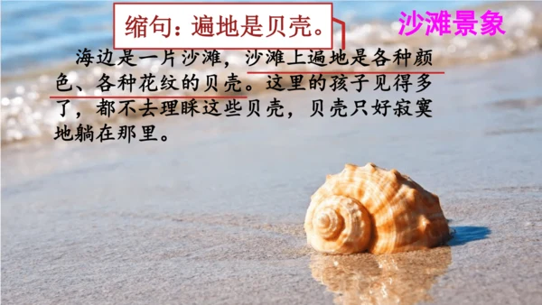 第19课《海滨小城》（课件）