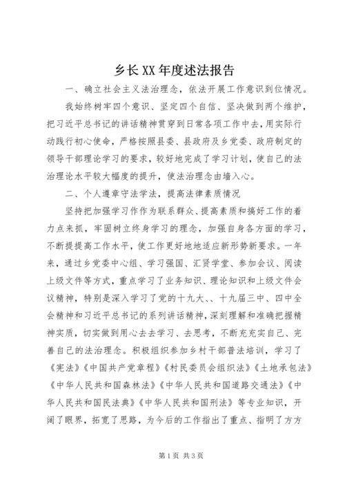 乡长某年度述法报告.docx