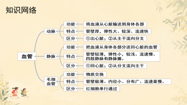 初中生物学人教版（新课程标准）七年级下册4.2 血流的管道──血管课件(共16张PPT)