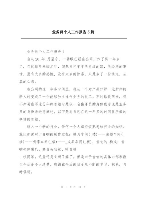 业务员个人工作报告5篇.docx