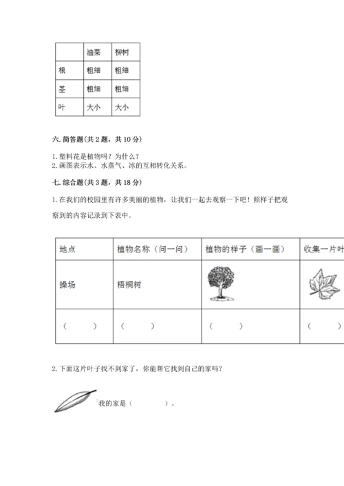 教科版科学一年级上册第一单元《植物》测试卷带答案（完整版）.docx
