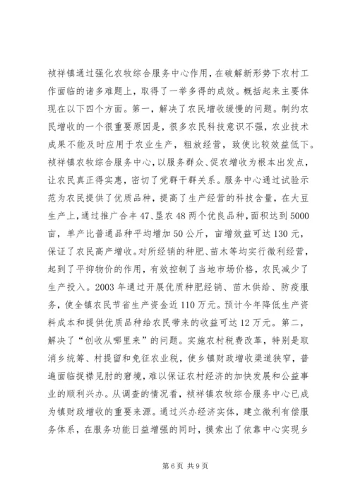 关于×镇农牧综合服务中心建设有关情况的调查.docx