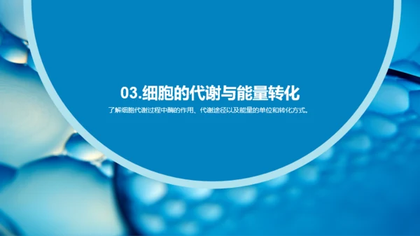 蓝色细胞结构和功能介绍PPT模板
