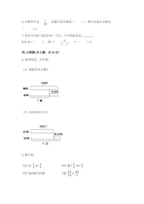 驻马店市确山县六年级下册数学期末测试卷及参考答案一套.docx