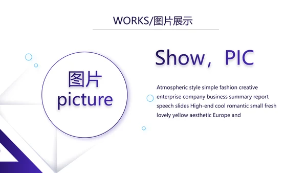 简约大气公司产品介绍图片展示PPT动态模板
