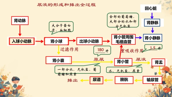 初中生物学[期末专区]七年级下册第四章和第五章复习课件(共39张PPT)