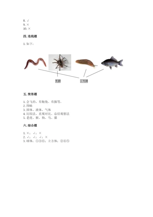 教科版一年级下册科学期末测试卷及答案【精品】.docx