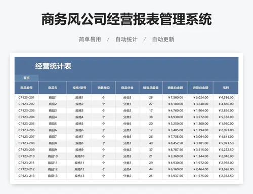 商务风公司经营报表管理系统