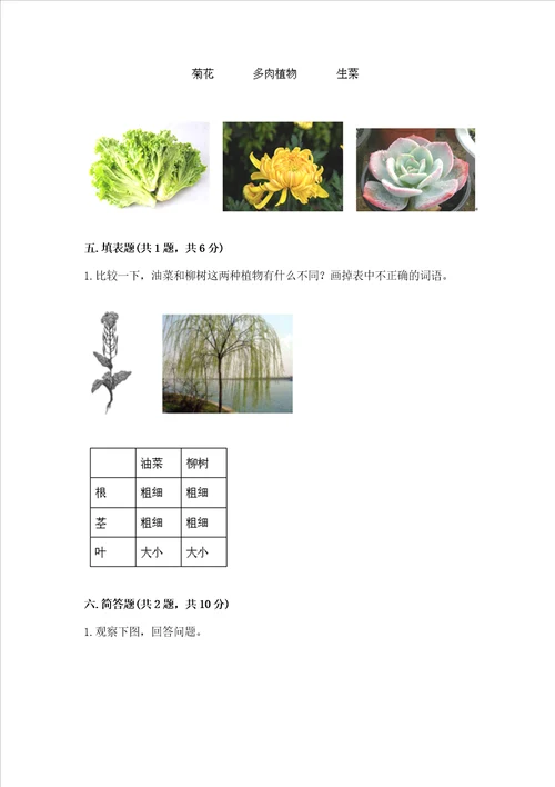 教科版科学一年级上册第一单元植物测试卷及参考答案考试直接用