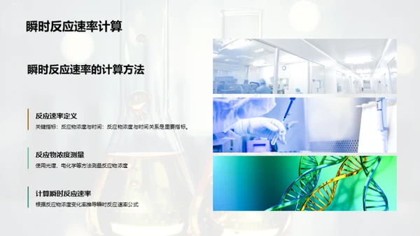 化学反应：速度与动力学