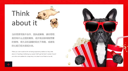丑萌的小狗狗宠物通用PPT模板