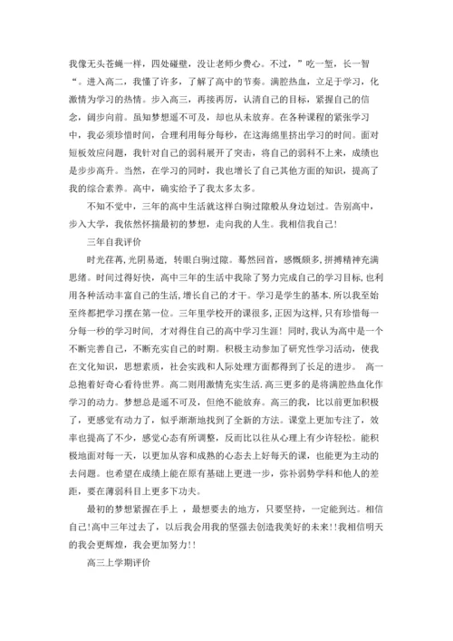 其他方面的高中自我评价范文.docx