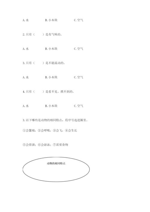 教科版一年级下册科学期末测试卷及答案（全优）.docx