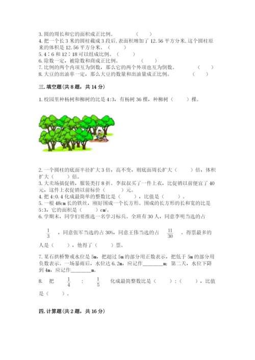 小学六年级下册数学期末卷（必刷）word版.docx