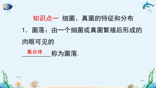 人教版八年级生物上册5.4《细菌和真菌》复习课件（含31张ppt）