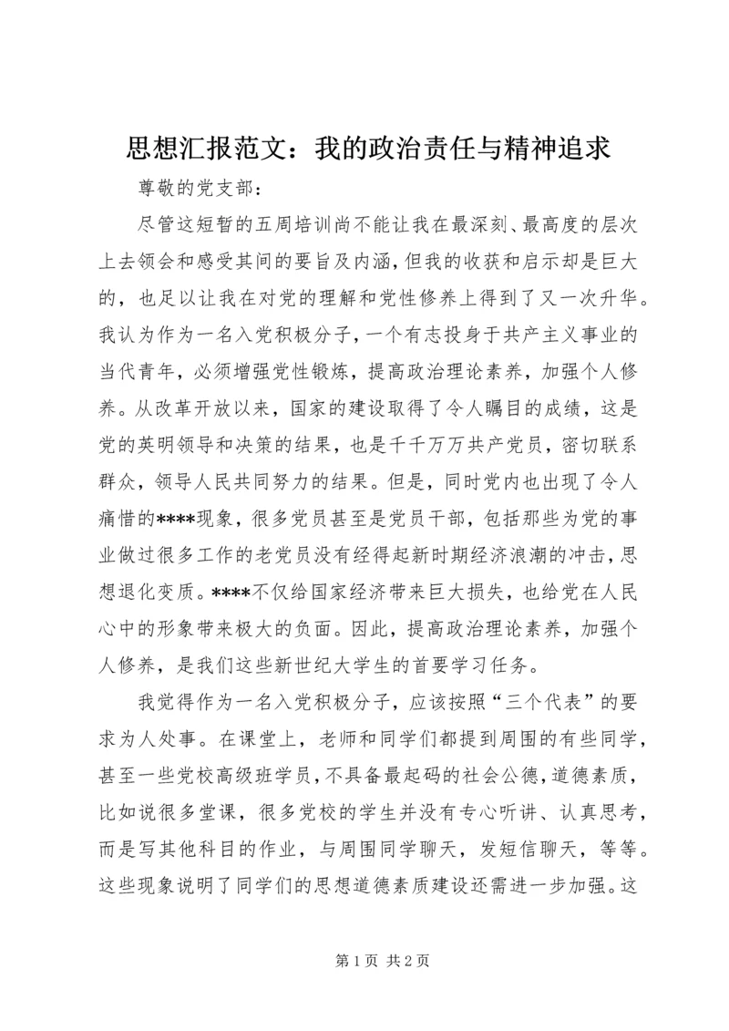 思想汇报范文：我的政治责任与精神追求.docx