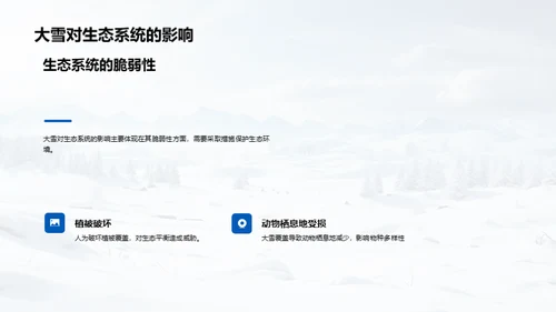 大雪的全方位解析