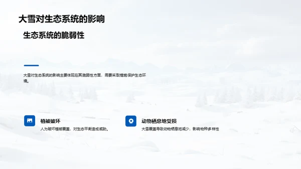 大雪的全方位解析