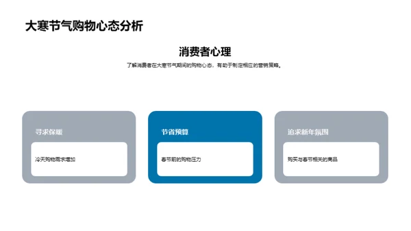 大寒营销策略解析