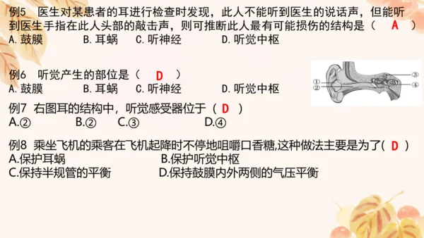 第四单元第五、六章复习课件(共33张PPT)人教版七年级下册
