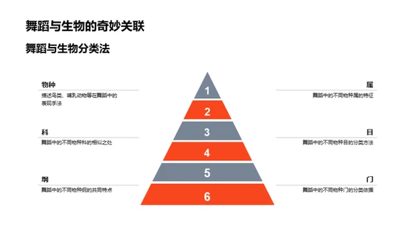 科学与舞蹈的交融