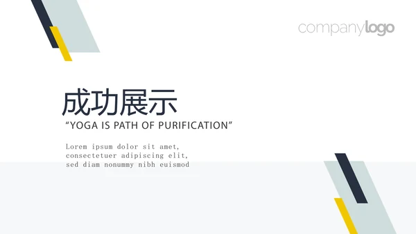 药品稽查工作总结动态PPT