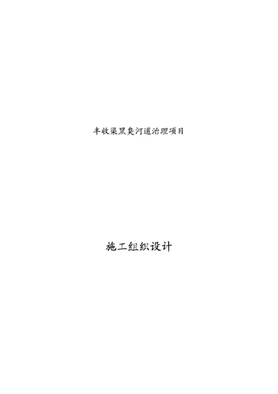 丰收渠黑臭治理项目施工组织设计.docx