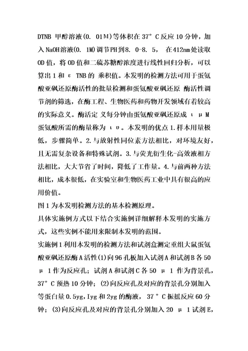 一种蛋氨酸亚砜还原酶活性的检测方法及药物筛选试剂盒的制作方法