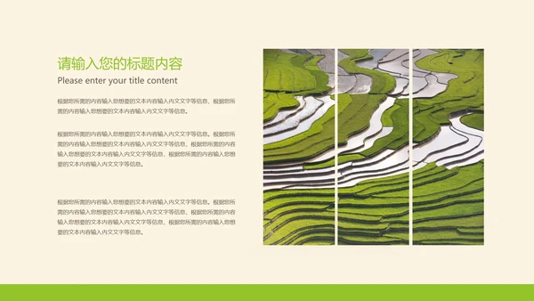黄色插画风水稻粮食教育PPT模板