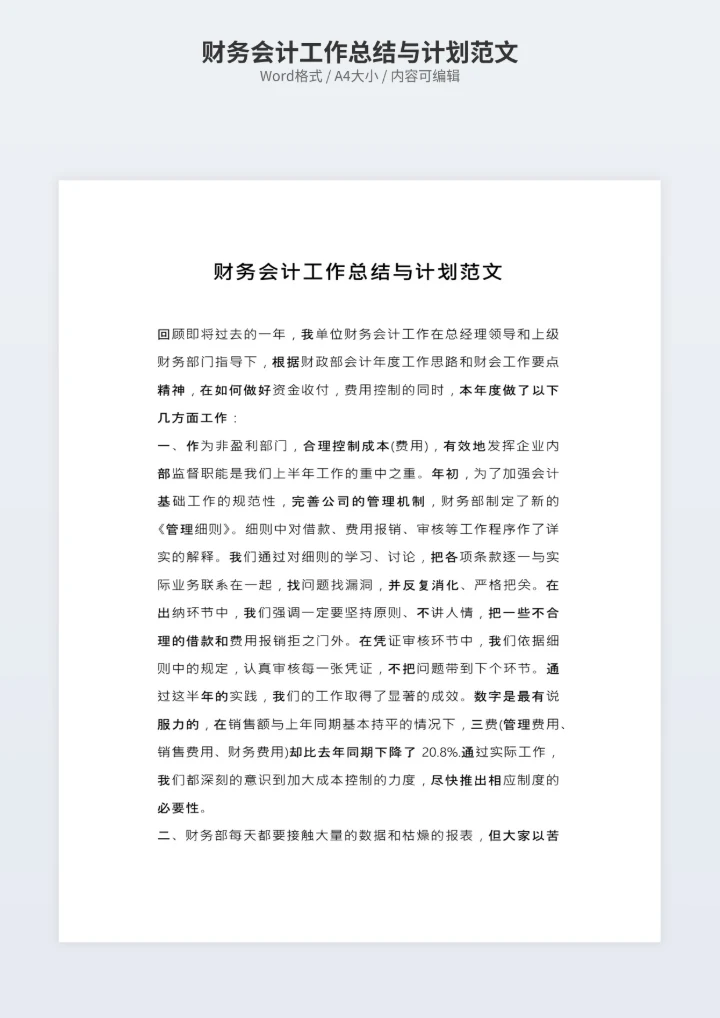 财务会计工作总结与计划范文