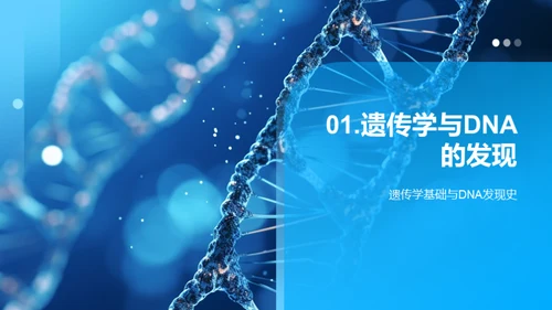 探秘生命密码：DNA