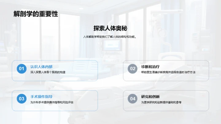 人体解剖学探索
