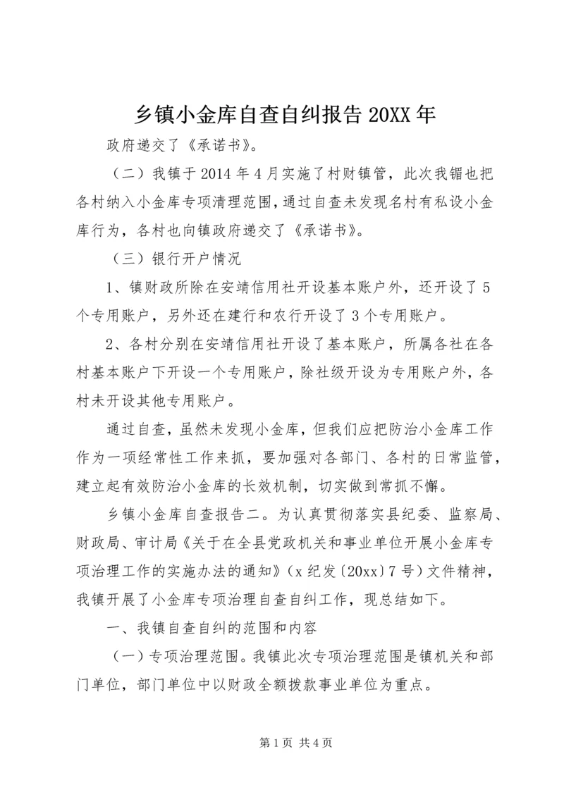 乡镇小金库自查自纠报告某年.docx