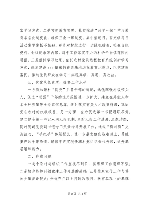 乡镇组织工作上半年工作总结和下半年工作计划.docx