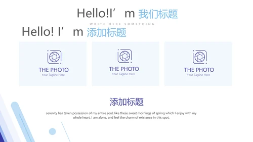 医疗医药代表工作总结动态PPT