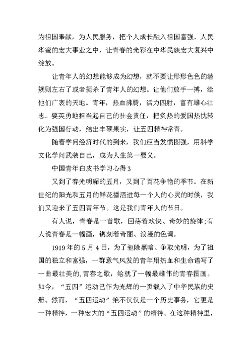 中国青年白皮书学习心得通用10篇