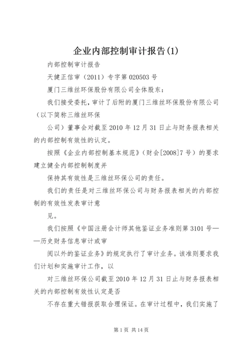 企业内部控制审计报告(3).docx