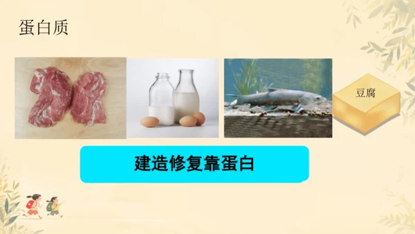 初中生物学人教版（新课程标准）七年级下册4.2.1食物中的营养物质课件(共21张PPT)