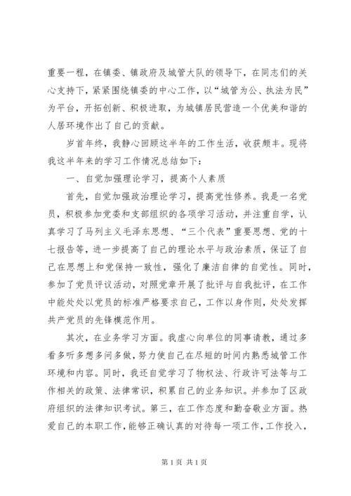 城管执法个人工作总结.docx