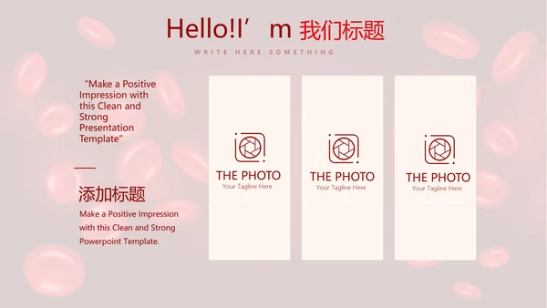医疗医学红细胞血小板研究动态PPT