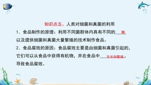人教版八年级生物上册5.4《细菌和真菌》复习课件（含31张ppt）