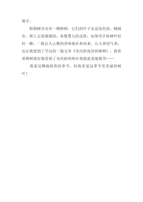 描写秋天树叶的作文.docx