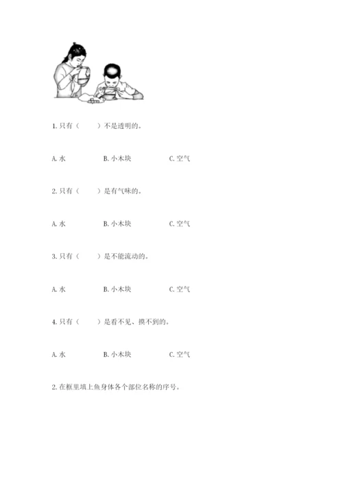 教科版一年级下册科学期末测试卷精品【名师系列】.docx