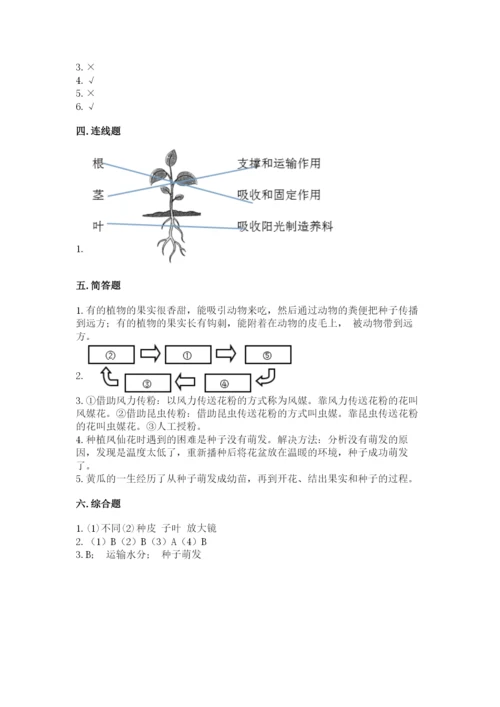 教科版四年级下册科学第一单元《植物的生长变化》测试卷【满分必刷】.docx