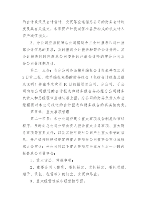 分公司管理制度_3.docx