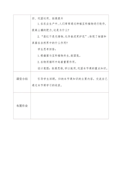人教版生物八年级上册 5.4.4细菌和真菌在自然界中的作用 教学设计