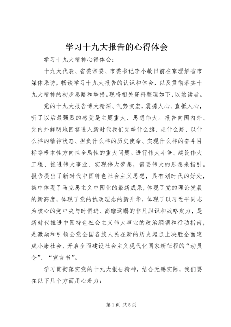 学习十九大报告的心得体会 (14).docx