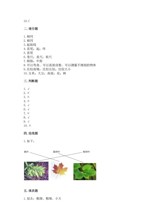 教科版科学一年级上册期末测试卷【考点精练】.docx