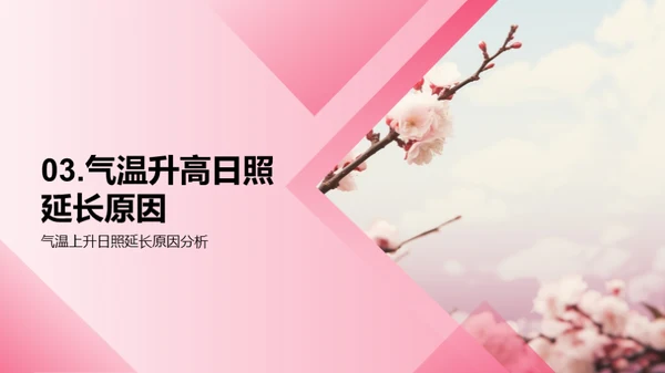 立春节气气候解析