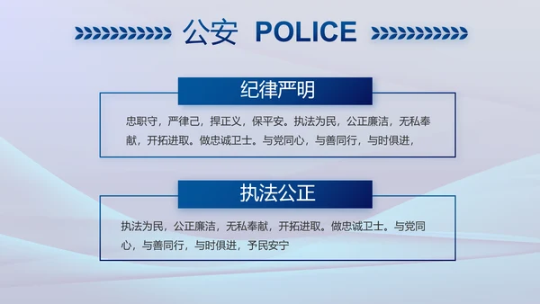 雷霆风暴专项行动公安警察PPT